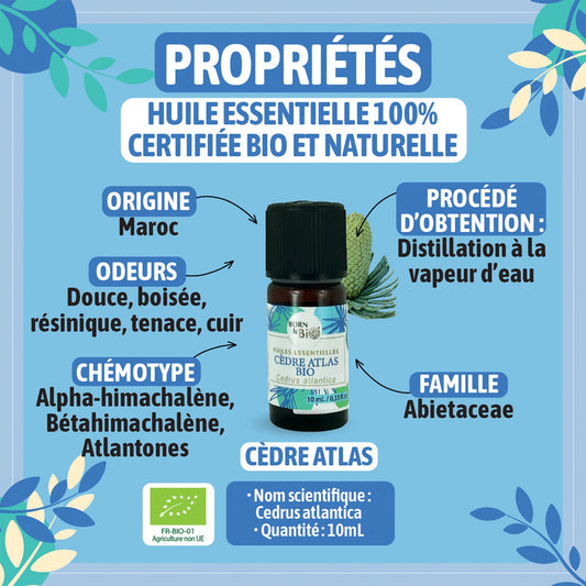 Huile essentielle Cèdre Atlas Certifiée Bio-1