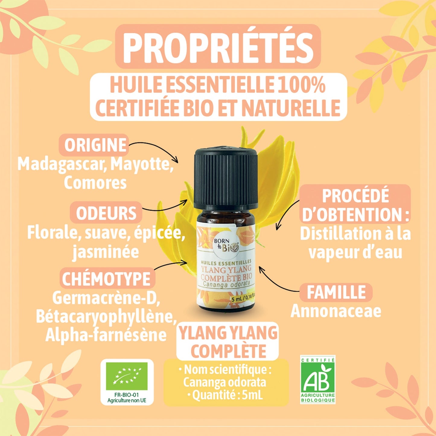 Huile essentielle Ylang ylang complète Bio-1