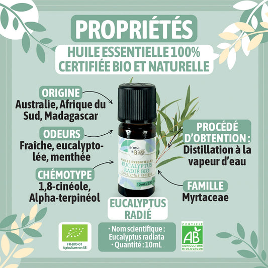 Huile essentielle Eucalyptus radié Certifiée Bio-1