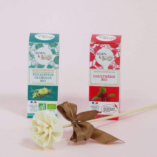 Huile essentielle Eucalyptus globulus Certifiée Bio-1