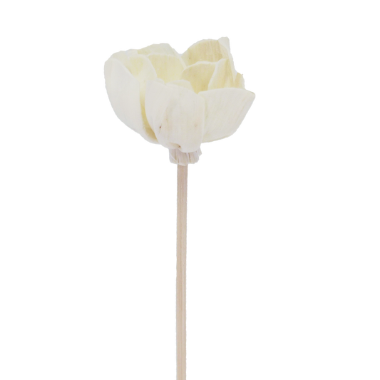 Fleur d'Andromède campanulée - Bâtonnet diffuseur en rotin-0