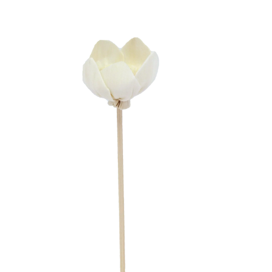 Fleur de Narcisse - Bâtonnet diffuseur en rotin-0