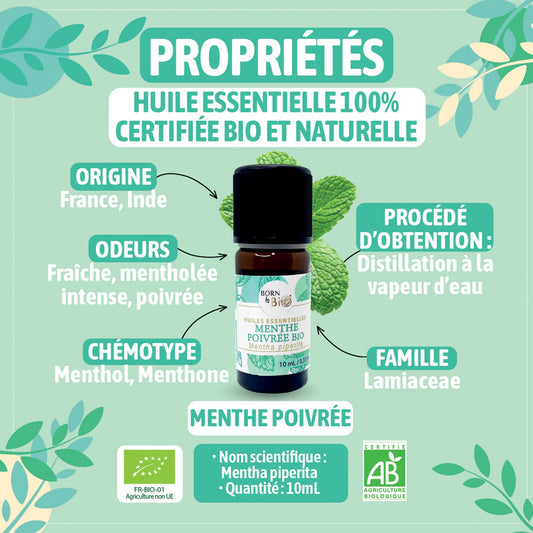 Huile essentielle Menthe poivrée Certifiée Bio-1