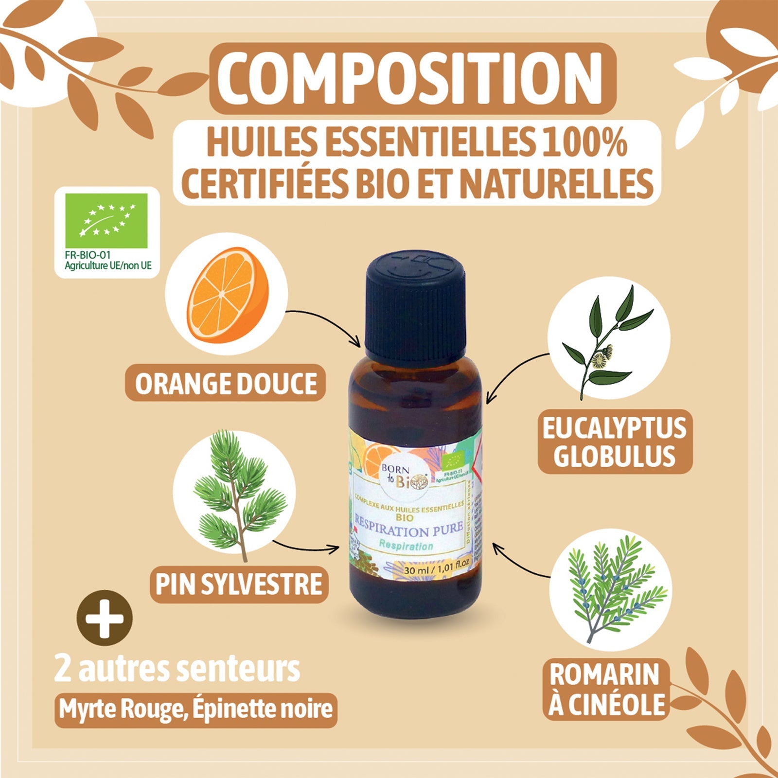 Respiration pure - Complexe aux huiles essentielles Certifiées Bio-2